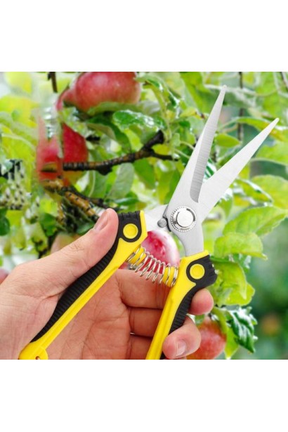 Секатор для живцювання 